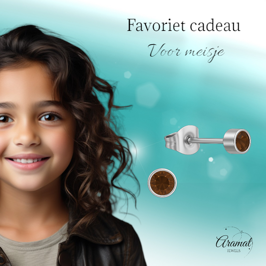 Topaasbruine kristal oorstekers – 4mm zilver RVS