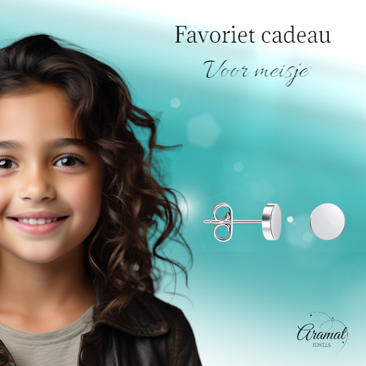 Boucles d'oreilles puces rondes argentées en acier inoxydable 5 mm