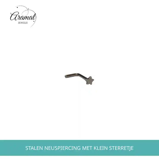 Stalen Neuspiercing met klein Sterretje by@Outfy