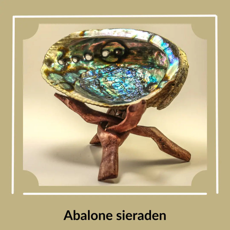 Abalone sieraden schelp - Aramat Jewels