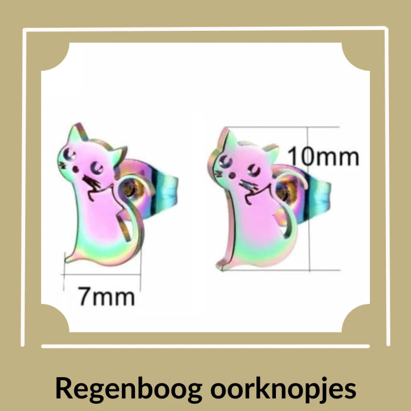 Kleurrijke regenboog oorknopjes - Aramat Jewels