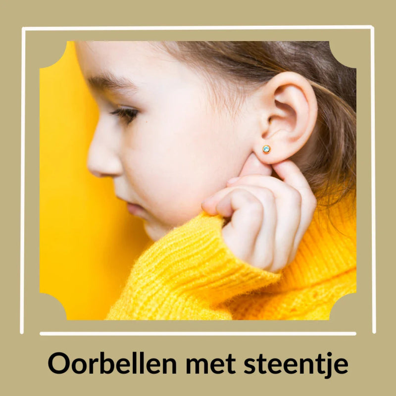 Oorbellen met steentje - Aramat Jewels