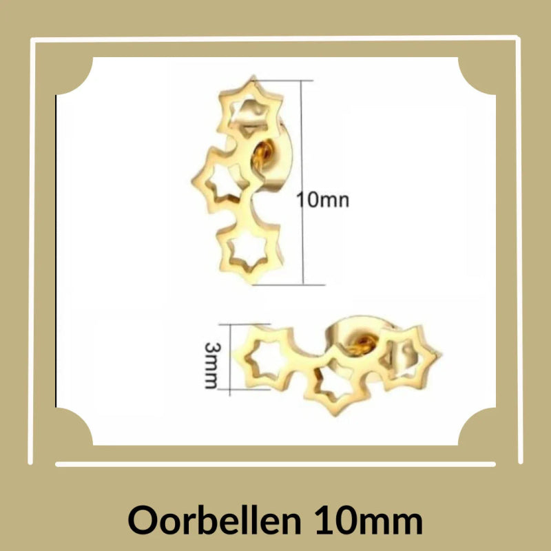 Oorbellen van 10mm - Aramat Jewels