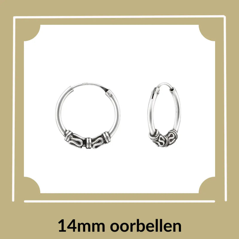 Stijlvolle oorbellen 14mm - Aramat Jewels