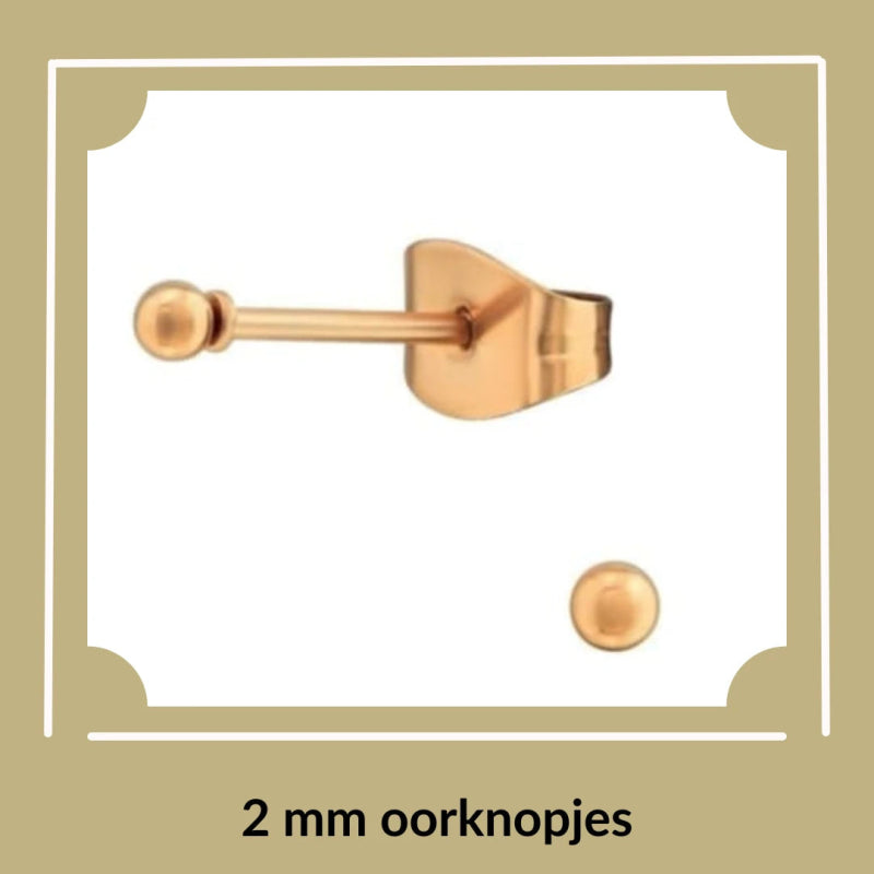 Subtiele mini oorknopjes: - Aramat Jewels