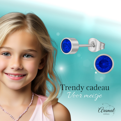 Donkerblauwe kristal oorstekers – 5mm zilver RVS