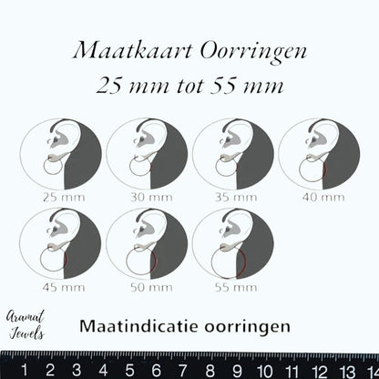 Grote 2-in-1 oorringen – 45 mm - goudkleurig RVS