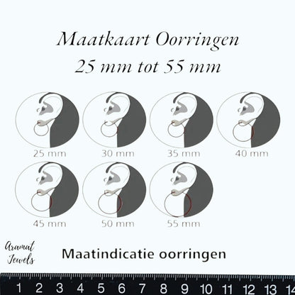Goudkleurige stainless steel slangen oorringen – 42x17 mm