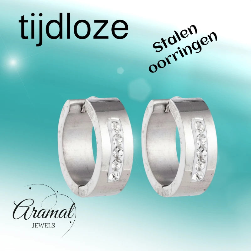 RVS Oorringen Kristal Streep Zilverkleur 20mm - Dames
