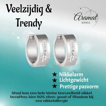 RVS Oorringen Kristal Streep Zilverkleur 20mm - Dames