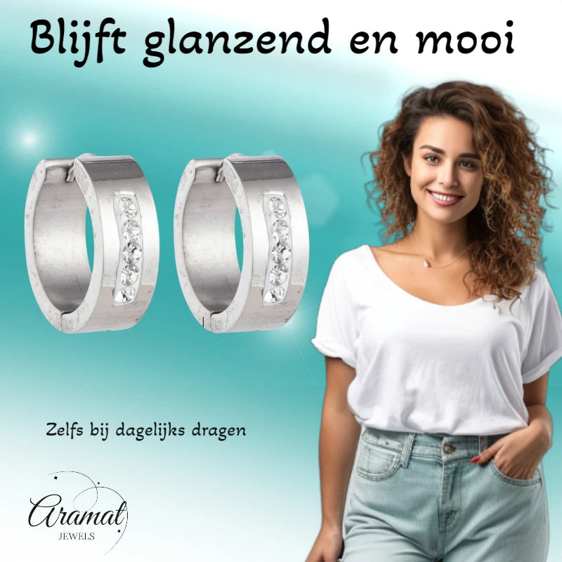 RVS Oorringen Kristal Streep Zilverkleur 20mm - Dames