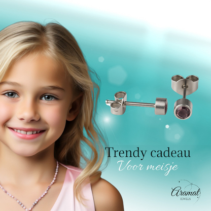 Boucles d'oreilles puces en cristal lilas – 4 mm acier inoxydable argenté