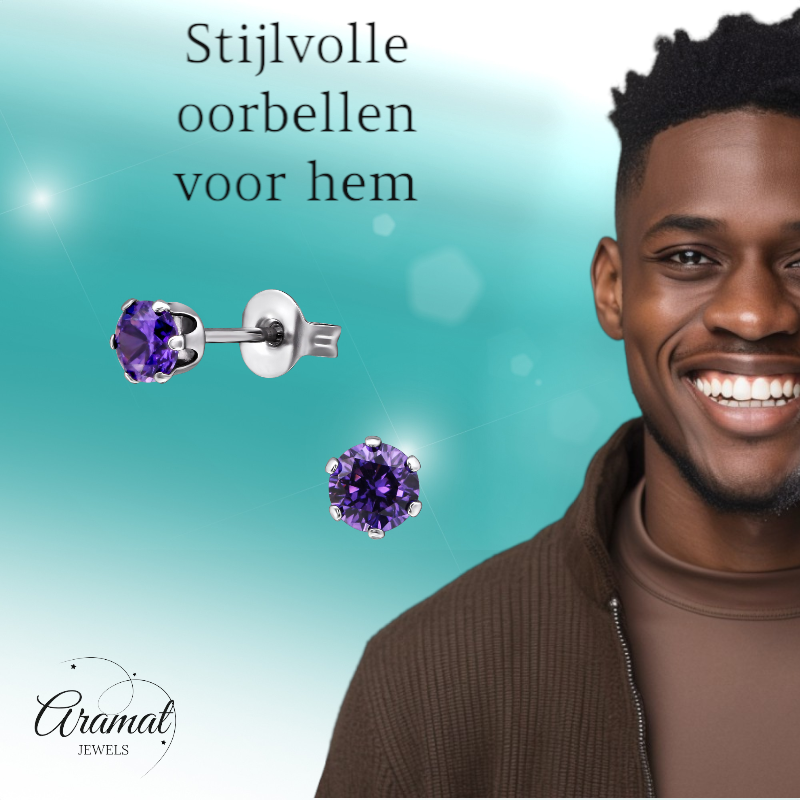 Zirkonia Oorbellen 4mm Paars RVS