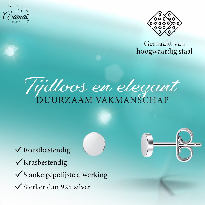 Boucles d'oreilles puces rondes argentées en acier inoxydable 3 mm