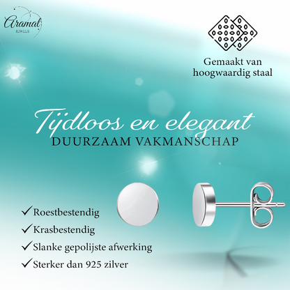 Zilverkleurige Ronde Oorstekers RVS 5mm