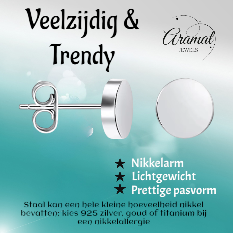 Zilverkleurige Ronde Oorstekers RVS 8mm