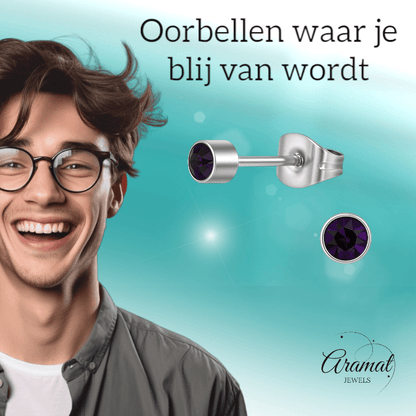 Amethist paarse kristal oorstekers – 4mm RVS - Aramat Jewels - Oorbellen - cadeautip