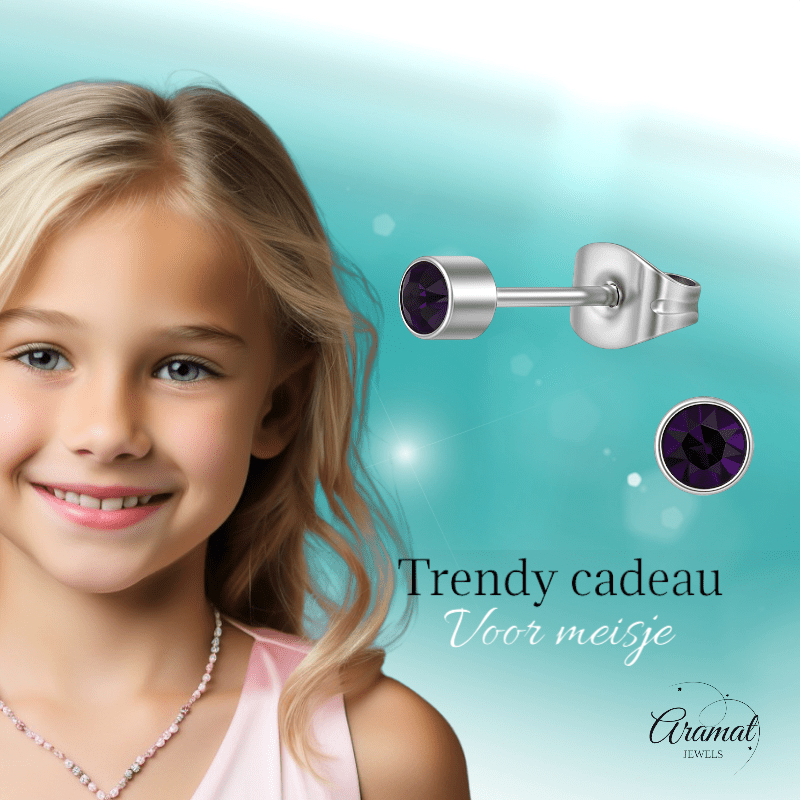 Amethist paarse kristal oorstekers – 4mm RVS - Aramat Jewels - Oorbellen - cadeautip