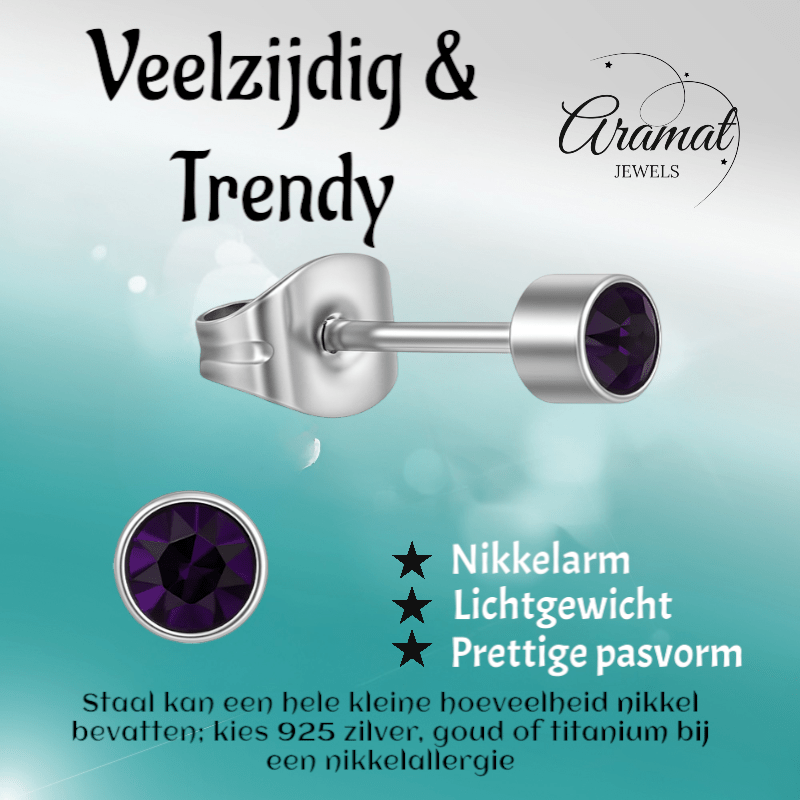 Amethist paarse kristal oorstekers – 4mm RVS - Aramat Jewels - Oorbellen - cadeautip