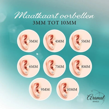 Aramat Jewels oorstekers van 10mm met roze kristal, gemaakt van zilverkleurig roestvrij staal.