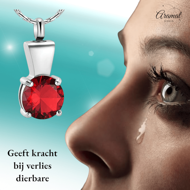 Ashanger met Rode Zirkonia - Zilverkleurig RVS - 28x12 mm-Gedenkhangers uniseks -28mm-Aramat Jewels-