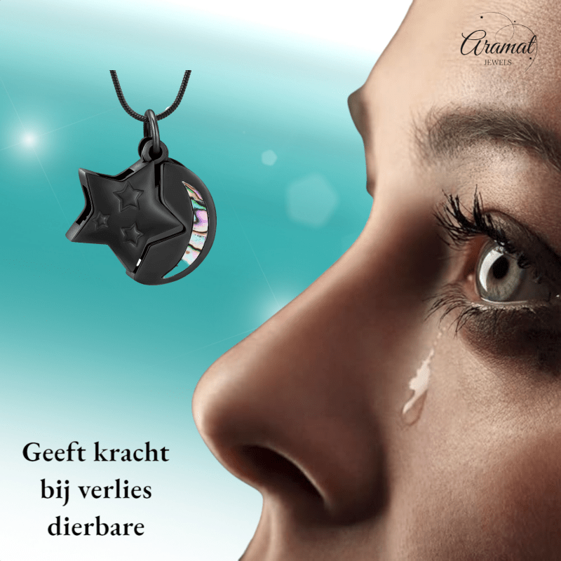 Ashanger Ster en Maan - Zwart RVS met Abalone - hang1474 - IJD20083 - Gedenkhangers kopen# - 22mm - Abalone - alles