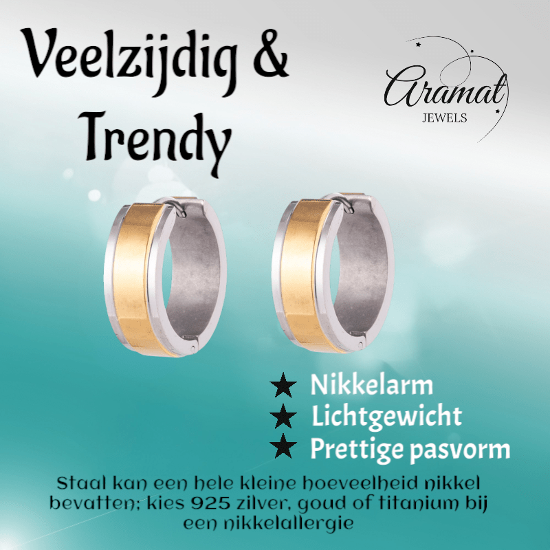 Bicolor RVS Oorringen met Goudkleurige Streep 13x7mm - oor5818 - se28070 - Oorringen kopen# - 13mm - 7mm - alles