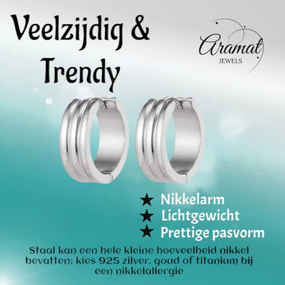 Brede Stalen Creolen 20mm - oor5821 - se43095 - Oorringen kopen# - 20mm - alles - cadeau