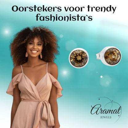 Oorstekers – Staal Kristal Bruin Zilverkleur (8mm)