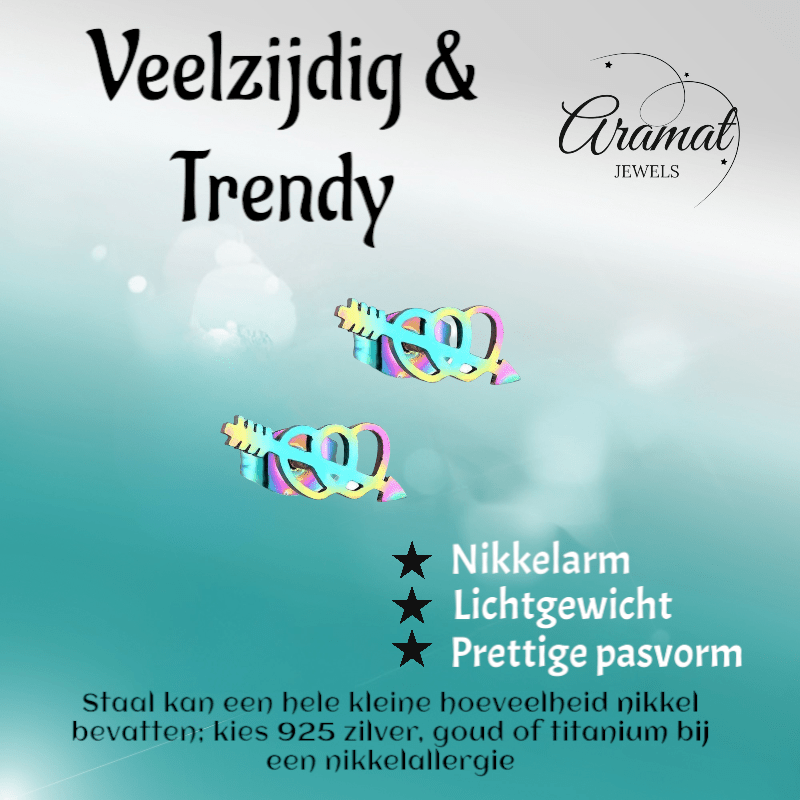 Dubbele regenboog hartjes oorstekers – 10x5mm RVS - Aramat Jewels - Oorbellen - cadeautip