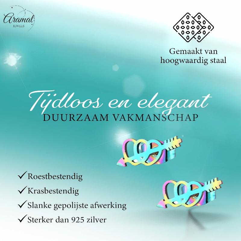 Dubbele regenboog hartjes oorstekers – 10x5mm RVS - Aramat Jewels - Oorbellen - cadeautip