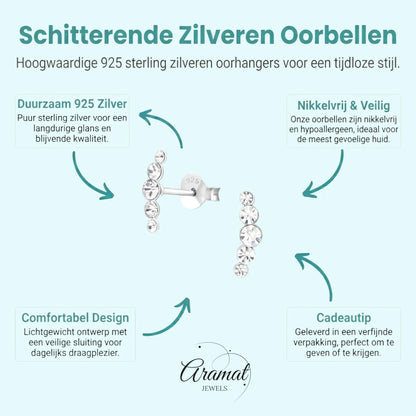 Glinsterende zilveren Oorbellen met 10x3mm Kristal - Aramat Jewels - Oorbellen - cadeautip