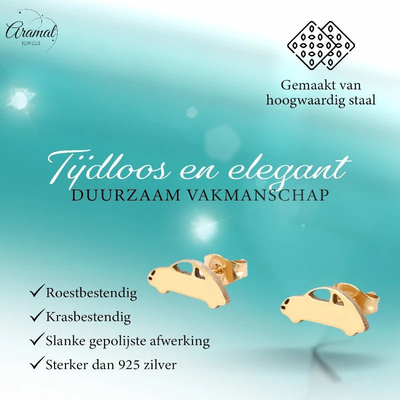 Goudkleurige Auto Oorbellen in Staal (13x5mm) - oor486 - Oorbellen kopen# - 13mm - alles - auto