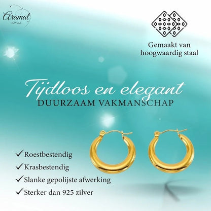 Goudkleurige Gladde Creolen 20x4mm - Stainless Steel - Trendy - oor6256 - 73456 - Oorringen kopen# - Goudkleur - 20mm - alles