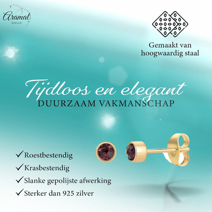 Goudkleurige Oorstekers 4mm - Paars Kristal - oor4608 - Oorbellen kopen# - 4mm - alles - cadeau