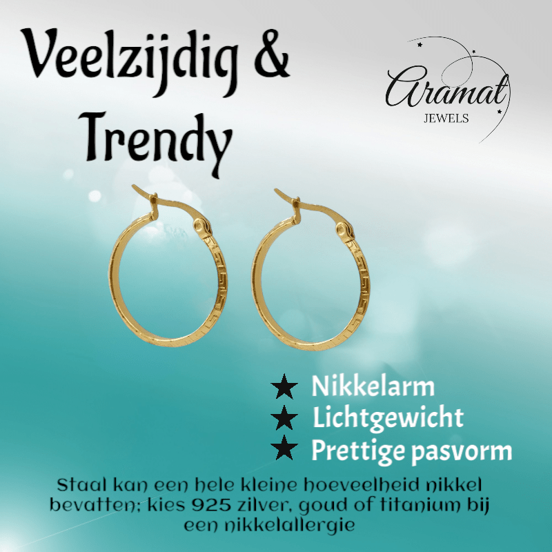 Goudkleurige RVS Oorringen 23mm met Grieks Motief – Versace Style - oor6360 - 1159 - Oorringen kopen# - 23mm - alles - cadeau