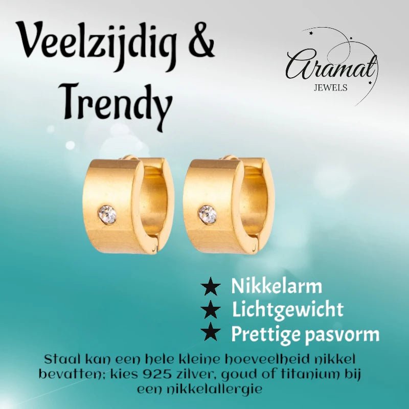 Goudkleurige Stalen Oorringen met Zirkonia - oor5826 - se26038 - Oorringen kopen