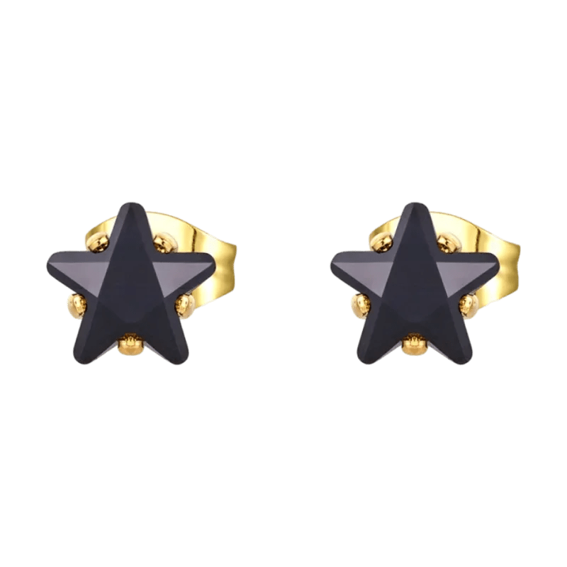 Een paar zwarte ster oorbellen