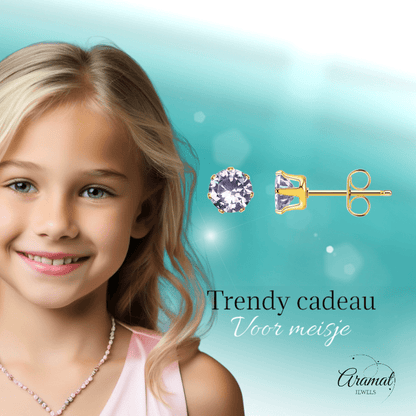 Goudkleurige Zirkonia Oorbellen 5mm Lila - Aramat Jewels - Oorbellen - cadeautip
