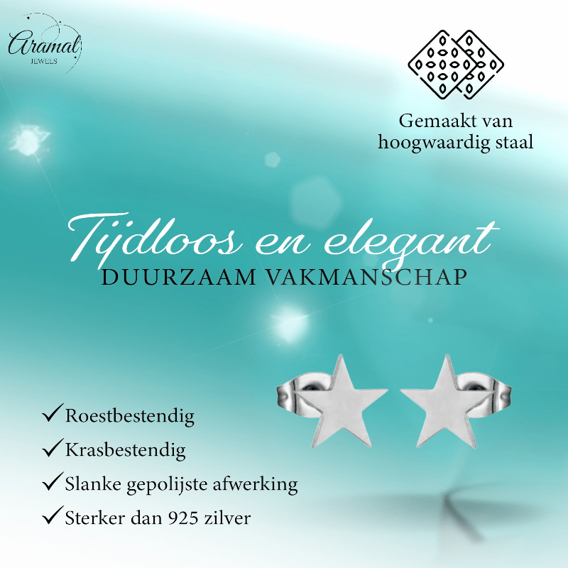 Grote zilverkleurige ster oorstekers – 10mm - Aramat Jewels - Oorbellen - cadeautip
