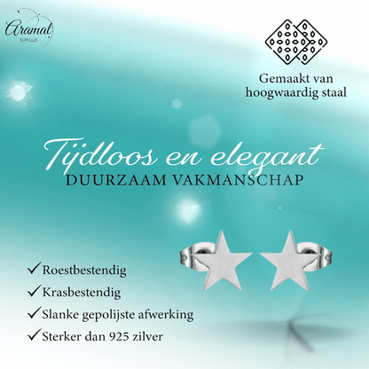 Grote zilverkleurige ster oorstekers – 10mm - Aramat Jewels - Oorbellen - cadeautip