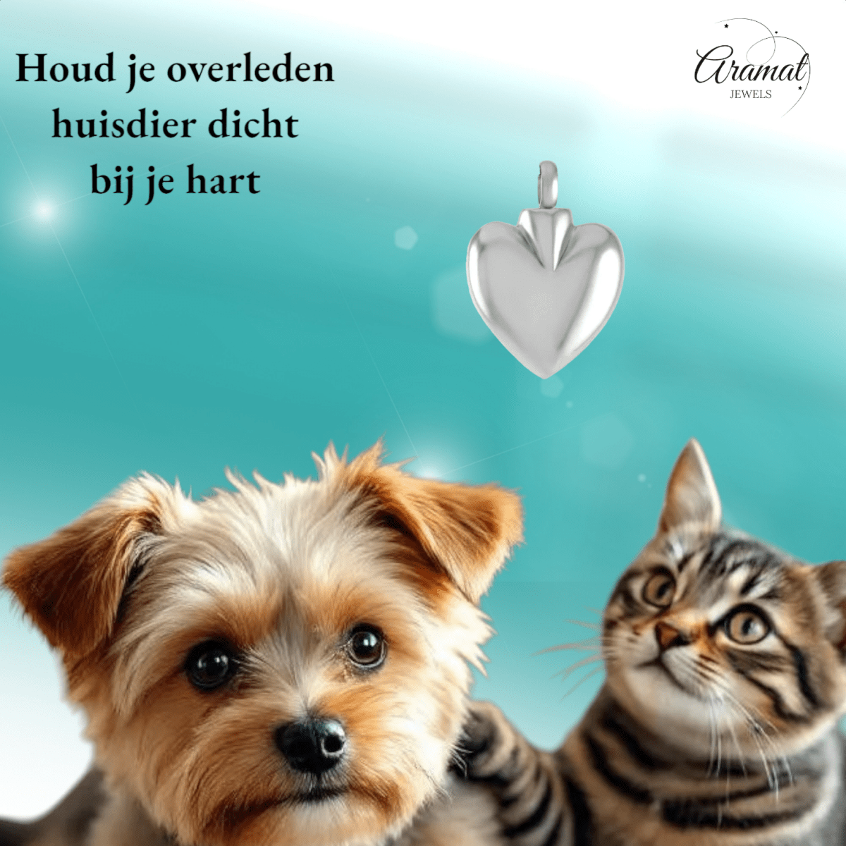 Hartvormig as sieraad van staal – gedenksieraad - Aramat Jewels - Gedenkhangers - cadeautip