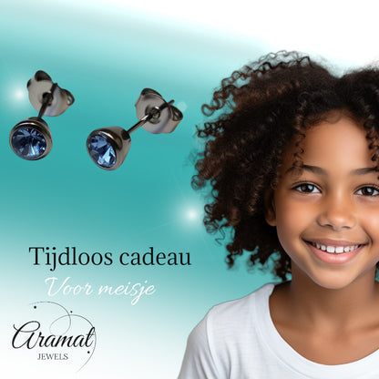 Oorbellen – Staal Lila Kristal Zilverkleurig (5mm)