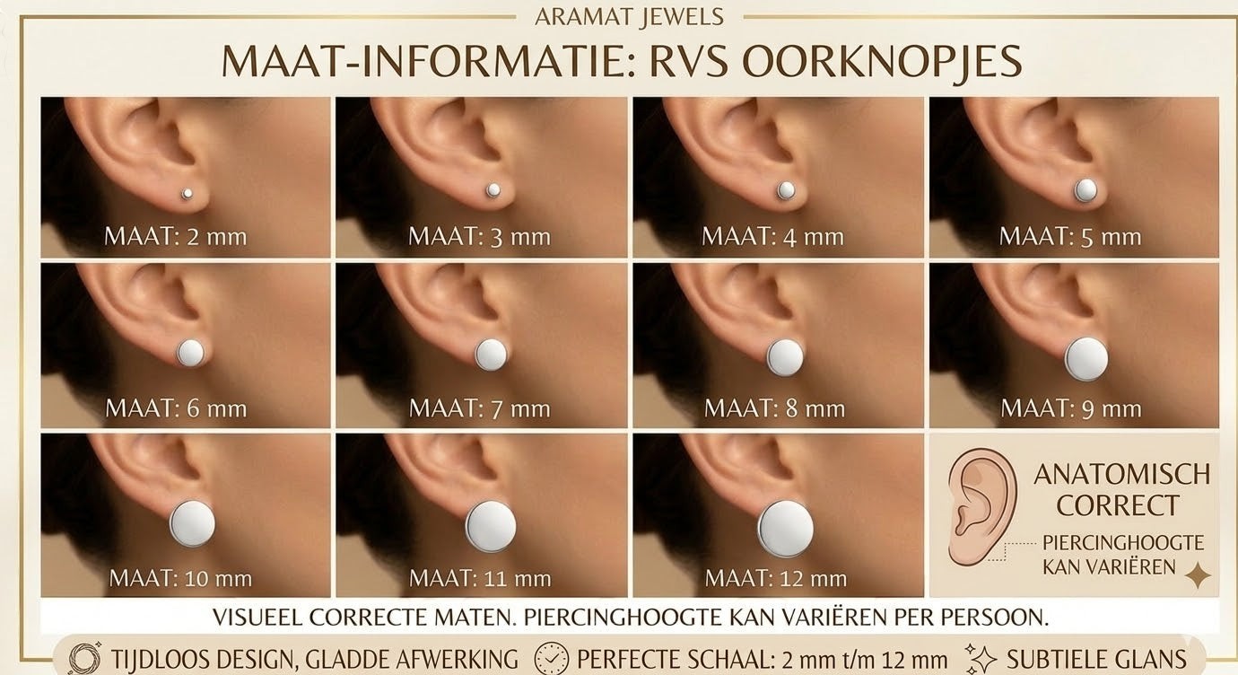Aramat Jewels zilverkleurige oorstekers met een 6mm rood kristal. Uniseks, gemaakt van roestvrij staal.