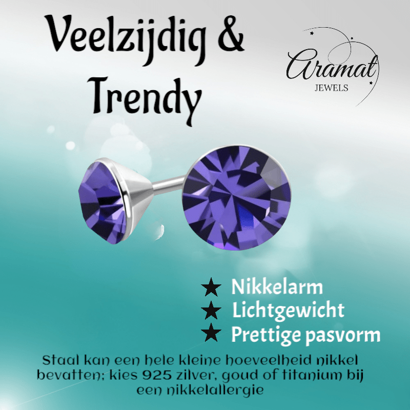 Mini Oorstekers Violet Paars – 3mm – RVS - Aramat Jewels - Oorbellen - cadeautip