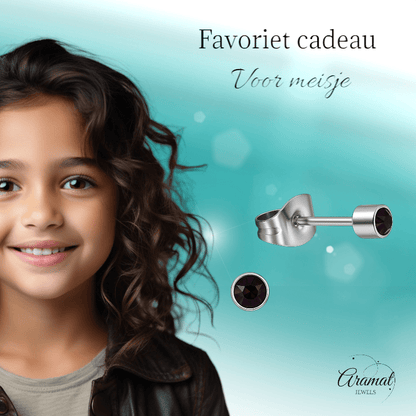 Mini paarse kristal oorstekers – 3mm elegant - Aramat Jewels - Oorbellen - cadeautip