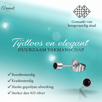 Mini paarse kristal oorstekers – 3mm elegant - Aramat Jewels - Oorbellen - cadeautip