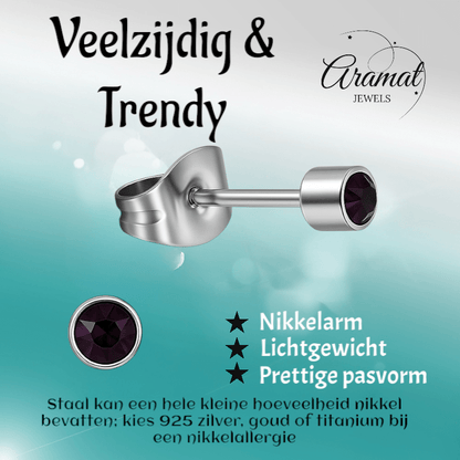 Mini paarse kristal oorstekers – 3mm elegant - Aramat Jewels - Oorbellen - cadeautip