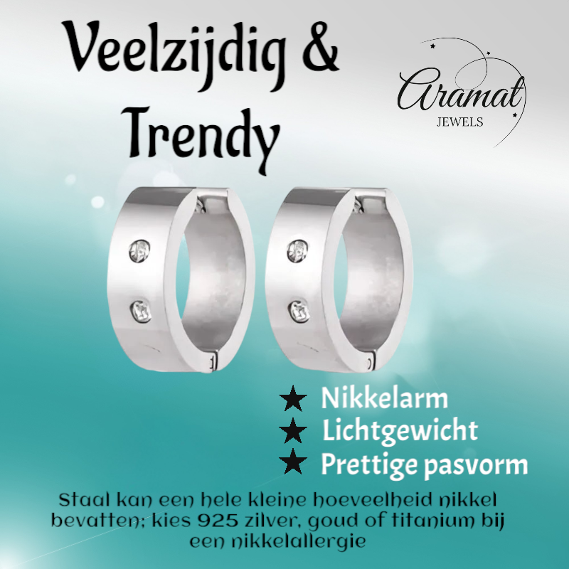 Grote Huggie Oorringen Kristal 20mm