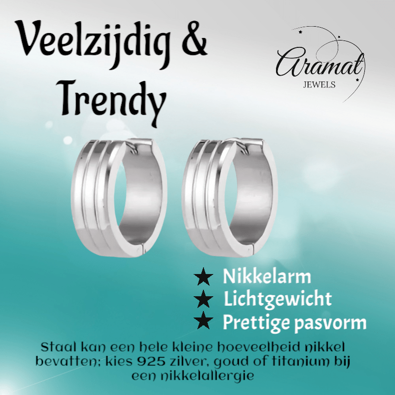 Moderne Zilverkleurige Rvs Oorbellen - oor5796 - se41124 - Oorringen kopen# - 20mm - 7mm - alles